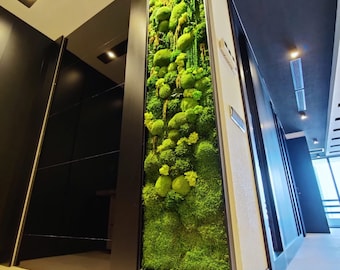Handcrafted Preserved Moss Wall Art: Eco-Friendly Green Zen Decor
