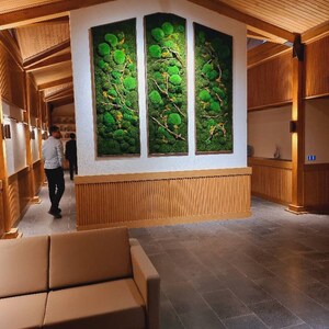Op de afbeelding: Drie verticale rechthoekige wandkunstwerken met groen mos en takken. De kunst is omlijst in lichtbruin hout en gemonteerd op een witte muur. De kamer heeft een lichtbruin houten plafond en muren, met een bruine bank op de voorgrond.