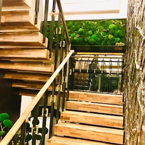 May include: A wooden staircase with a black metal railing and gold accents. The staircase leads up to a green moss wall.