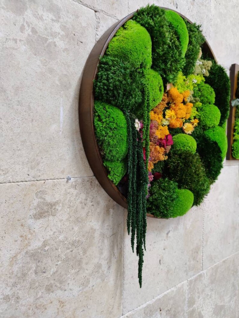 Moss Wall Art/circle Frame / Living Moss Wall Art/ Circle Moss Etsy