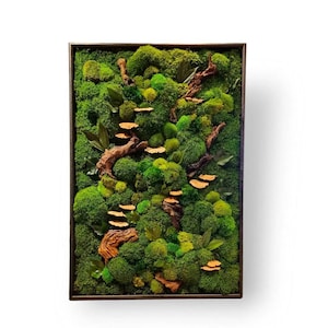 Moos Wandkunst - Konserviertes Grün Dekor - Rustikaler Wandbehang - Umweltfreundliche Wohnkultur - Handgemachte natürliche Botanische Kunst - Holz Wandkunst