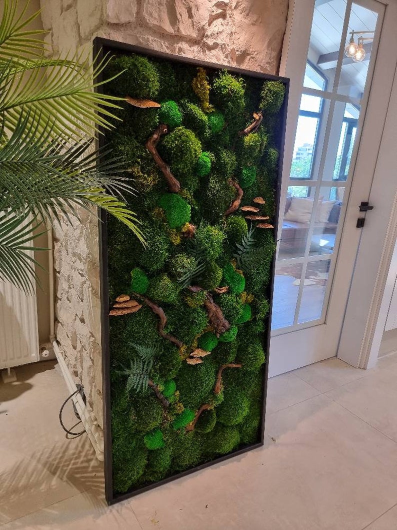 Moss Wall Art Largenatural Room Decorreal Moss Decorliving Etsy