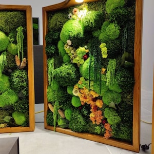 Moss Wall Art, Wood Frame, Moss Art Work, Moss Art, Preserved Moss Art. -   Norway