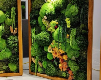 Arte de pared de musgo preservado con iluminación LED: marco de madera ecológico