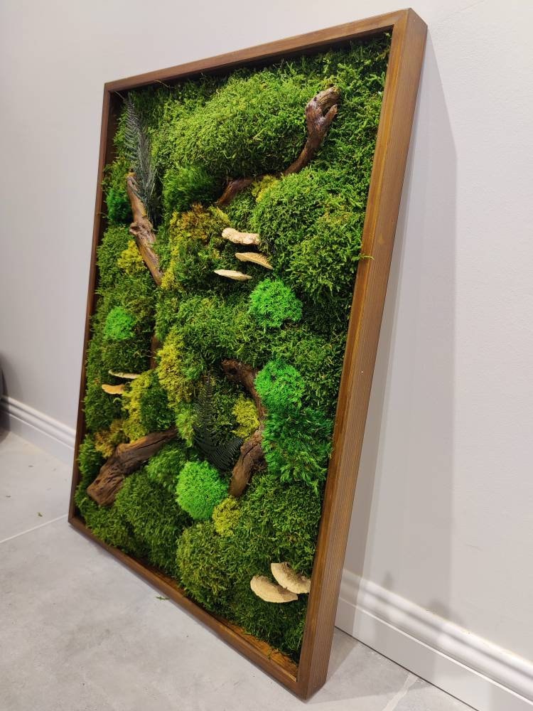 Moss Wall Art Largenatural Room Decorreal Moss Decorliving Etsy