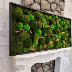 May include: A framed moss wall art piece with a variety of green moss textures and shapes. The moss is arranged in a modern, abstract design with some dried leaves and branches. The frame is black and the moss is mounted on a white background.
