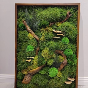 Modern Moss Wall Art | Botanical Home Decor | Green Wall Panel | Natural Wood and Moss Artwork | Biophilic Wall Design | Customizable