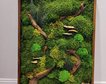 May include: A framed moss wall art piece with a wooden frame. The moss is arranged in a natural, organic pattern with a few pieces of driftwood and dried mushrooms.