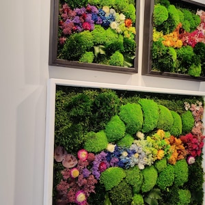 Live Moss Wandkunst, Biophiles Desing, umweltfreundliche Wandkunst, nachhaltiges Wohndekor, Natur-inspiriertes Dekor, vertikale Gartenwandkunst