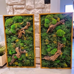 Custom Made Moss and Olive Wood Wall Art, Wooden Frame Moss Wall Decor, Olive Wood and Moss Wall Art- Preserved Stabilized Moss Wall Decor