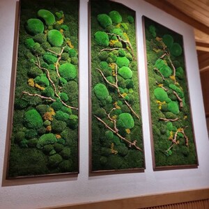 Op de afbeelding: Drie ingelijste wandkunstwerken met levendig groen mos en bolvormige accenten, met natuurlijke takken en gele accenten. De rechthoekige en gebogen frames zijn warmbruin en cre&euml;ren een natuurlijke, organische esthetiek.