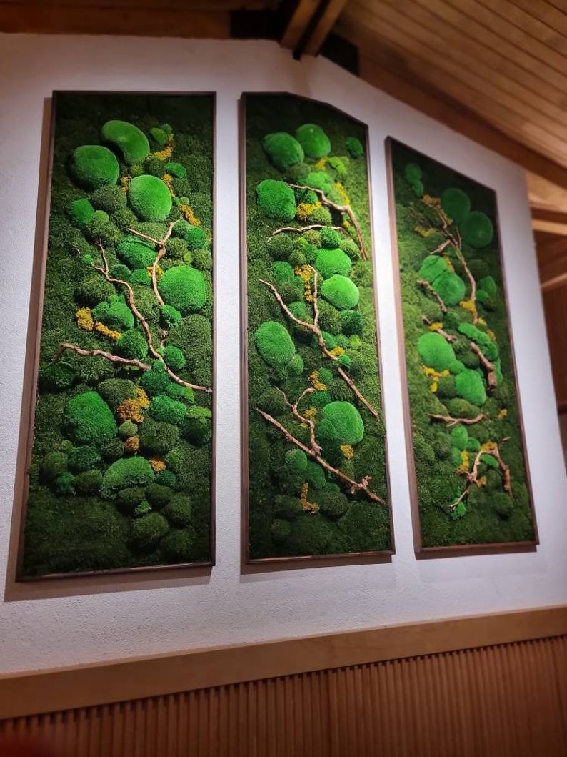 Op de afbeelding: Drie ingelijste wandkunstwerken met levendig groen mos en bolvormige accenten, met natuurlijke takken en gele accenten. De rechthoekige en gebogen frames zijn warmbruin en cre&euml;ren een natuurlijke, organische esthetiek.