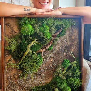 Handgefertigte Moos Wandkunst mit Rentiermoos,Natürlich konservierter Moosrahmen mit Steinen,Wald inspirierte botanische Wandkunst,Künstlerischer Moosrahmen