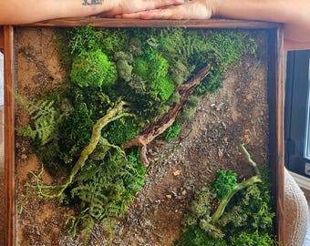 Handmade Reindeer Moss Wall Art | Preserved Botanical Frame | Forest Inspired Decor