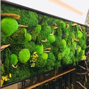 May include: A green moss wall art piece with a black frame. The moss is arranged in a variety of shapes and sizes, and there are some dried leaves and branches mixed in. The wall art is mounted on a wall with a wooden trim.