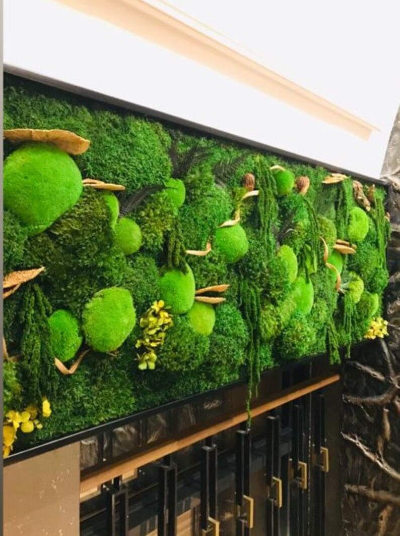 May include: A green moss wall art piece with a black frame. The moss is arranged in a variety of shapes and sizes, and there are some dried leaves and branches mixed in. The wall art is mounted on a wall with a wooden trim.