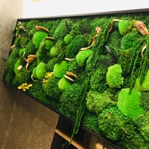 May include: A framed green moss wall art piece with a variety of textures and shapes. The moss is arranged in a natural, organic pattern, creating a sense of depth and dimension. The frame is black and adds a modern touch to the piece.