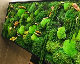 Preserved Moss Wall Art: Large Eco-Friendly Fern & Flower Statement Art