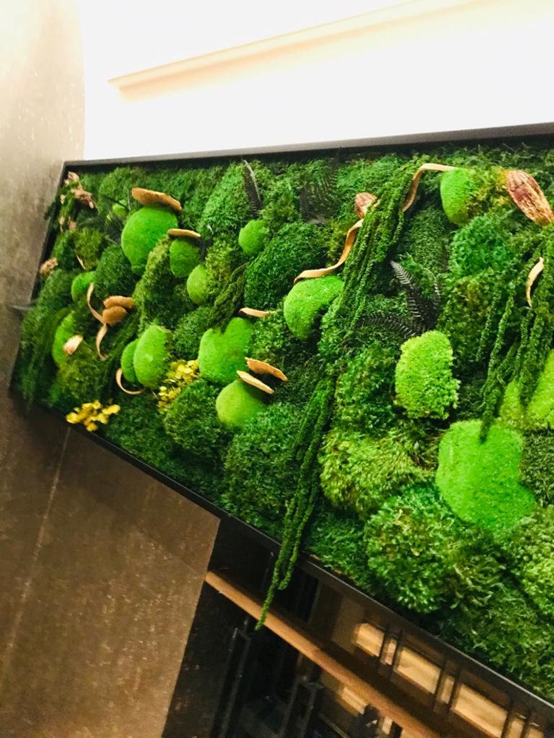 May include: A framed green moss wall art piece with a variety of textures and shapes. The moss is arranged in a natural, organic pattern, creating a sense of depth and dimension. The frame is black and adds a modern touch to the piece.