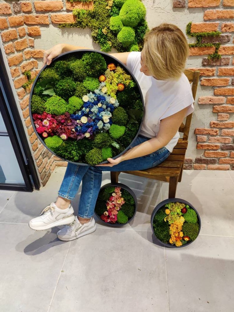 Moss Wall Art/circle Frame / Living Moss Wall Art/ Circle Moss Etsy