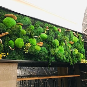 May include: A green moss wall art piece with a variety of textures and shapes. The moss is arranged in a natural, organic pattern, creating a visually appealing and calming effect.