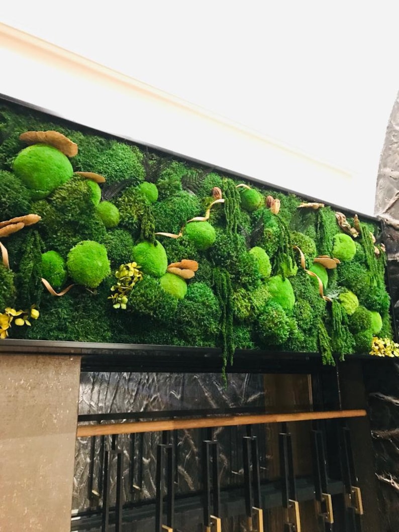 May include: A green moss wall art piece with a variety of textures and shapes. The moss is arranged in a natural, organic pattern, creating a visually appealing and calming effect.