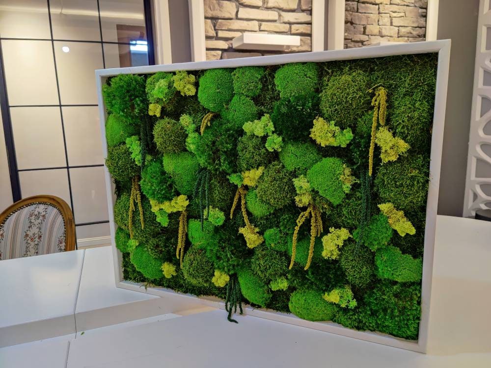 Moss Wall Art, Sustainable Living Wall Decor, 10x10