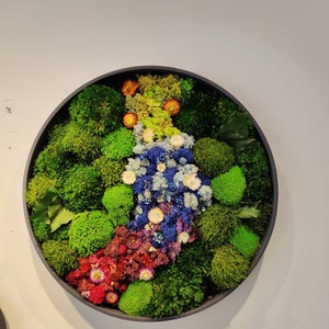Moss Wall Art/Circle Frame / Living Moss Wall Art/ Circle Moss Decoration /Round Frame Home Decor /Eco Friendly Decor/Mother day gift