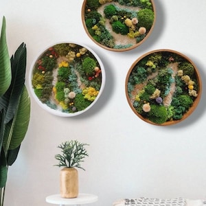 Moss Wall Art Set Of Three Circle, Preserved Moss Art Round, Living Wall Art Sets, Housewarming Gift, Nature Wall Decoration, Customize Art