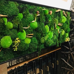 May include: A green moss wall art piece with a black frame. The moss is arranged in a variety of shapes and sizes, creating a natural and organic look. The wall art is mounted on a wooden surface.