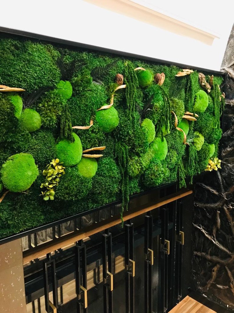 May include: A green moss wall art piece with a black frame. The moss is arranged in a variety of shapes and sizes, creating a natural and organic look. The wall art is mounted on a wooden surface.
