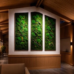 Op de afbeelding: Drie ingelijste verticale moskunstwerken met een natuurlijke, organische uitstraling. Het mos is heldergroen met bruine takken, tegen een witte muur. De frames zijn donker en de kamer heeft houten accenten.