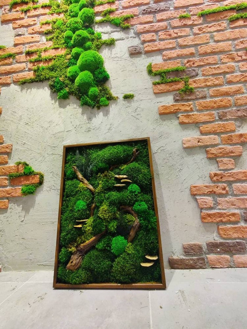 Moss Wall Art Largenatural Room Decorreal Moss Decorliving Etsy