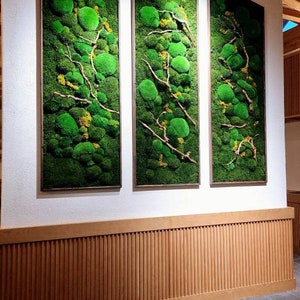 Op de afbeelding: Drie ingelijste verticale wandkunstwerken met levendig groen mos en droge takken. De moskunst heeft een natuurlijke, organische esthetiek, met een mix van texturen en groentinten. De frames hebben een neutrale kleur, als aanvulling op het kunstwerk.