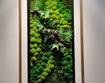 Preserved Moss Wall Art: Biophilic Vertical Garden Decor