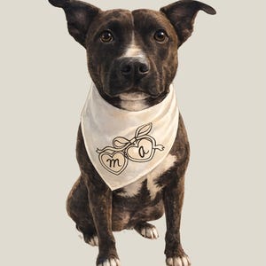 May include: A brindle dog with a white chest and paws wearing a cream-colored bandana. The bandana features a line-art illustration of two connected hearts tied with a ribbon, with the lowercase letters m and a inside the hearts.