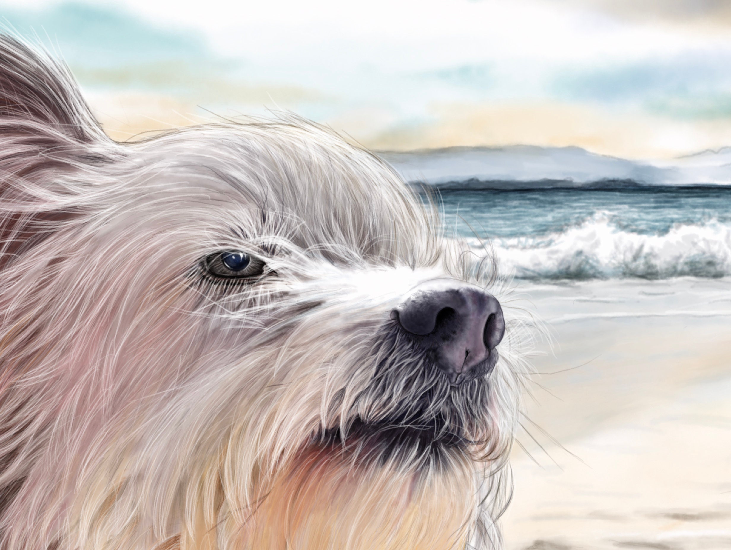 Hund entspannen am Strand Pyrenäen Schäfer Kunst Leinwand Etsy