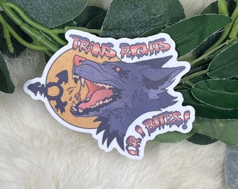 TRANS RIGHTS OR… | 4” Vinyl Sticker