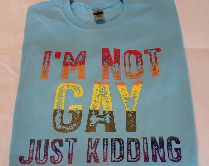 Adult Size Large Light Blue T-shirt - I'm not gay. Just kidding. Colorful and comfortable pride shirt. FREE SHIPPING!
