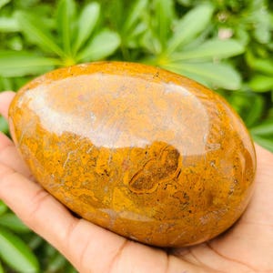 Calligraphy Stone Egg: Mariam Jasper, Fossil Jasper Decor (110mm, 910g