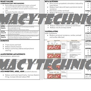 PDF/Word Document Canadian Pharmacy Technician Pharmacology Notes OSPEs RPhT Pharmacy Study Notes Pharmacy Tech