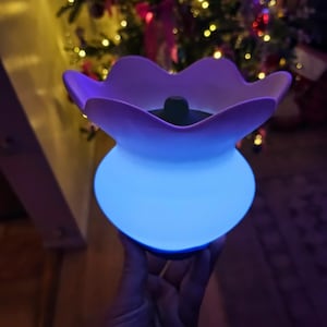 Zelda Echoes of Wisdom inspired ZORA LED lamp  made to order