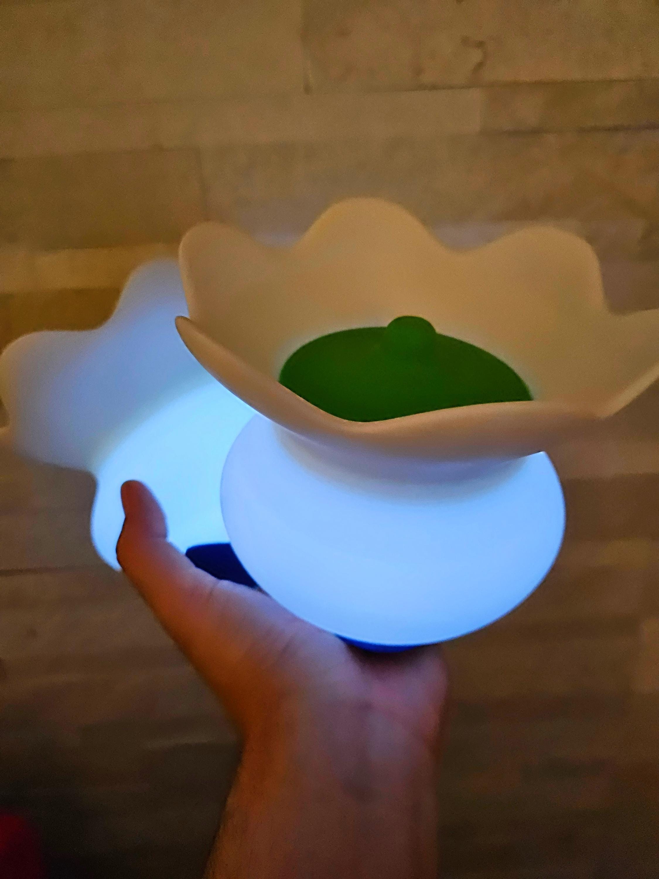 食器 Goddess of Wisdom 2025 食器 Goddess of Wisdom 2025 2025: The