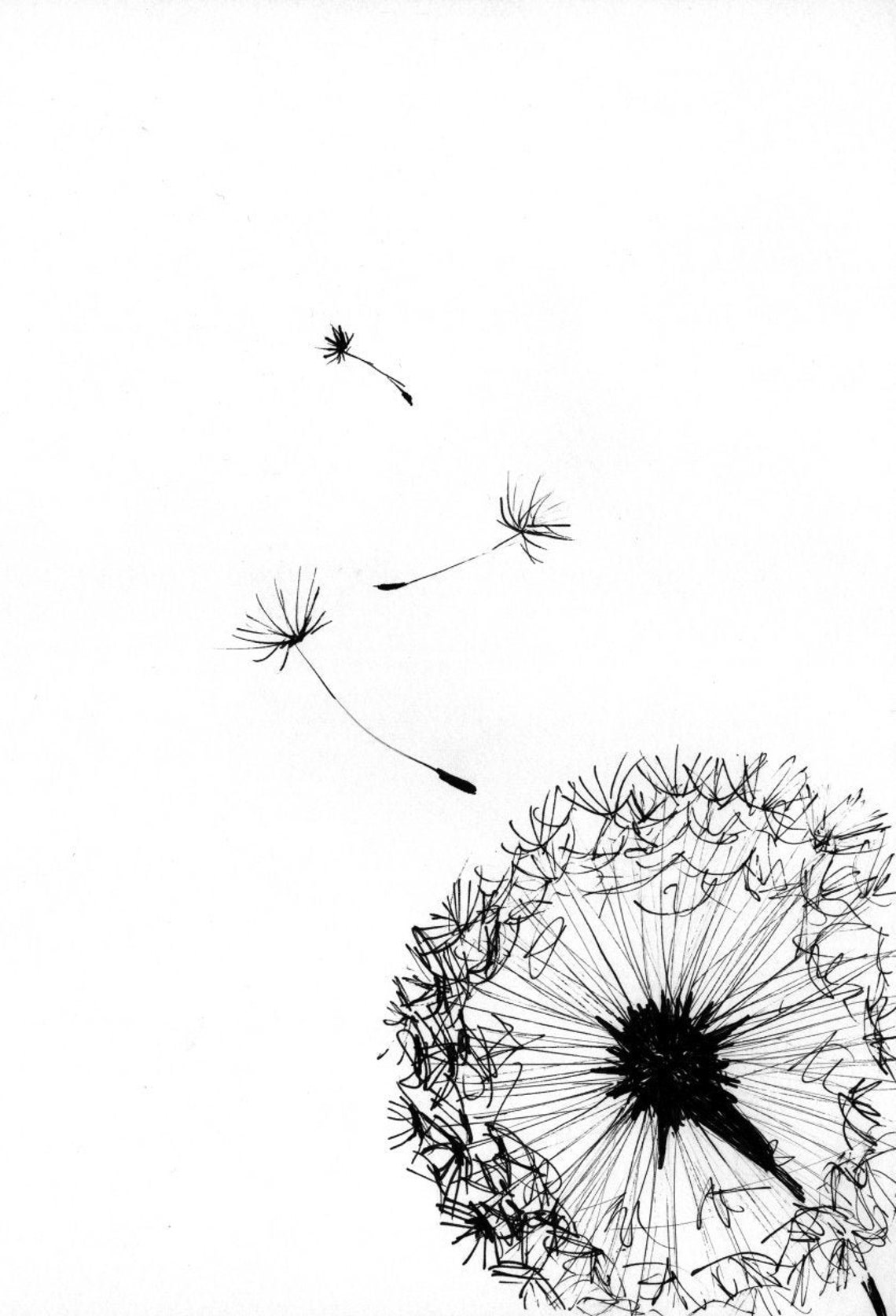 Pusteblume Set Botanical Prints Poster Prints of Original | Etsy