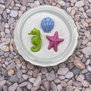 May include: A decorative arrangement featuring a green seahorse, a blue seashell, and a pink starfish, all placed on white sand within a white dish with a gold rim. The dish is set against a background of small, multicolored pebbles.