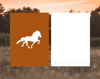 Horse   Postcard  ***    Postkarte  #  66 Pferd 