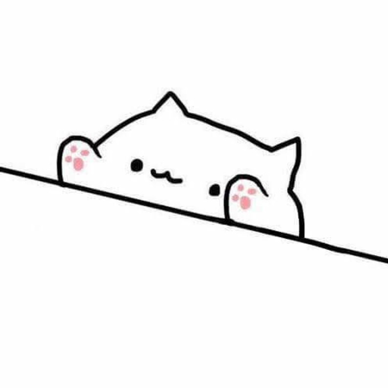 Drum cat