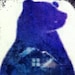 Mother Bear