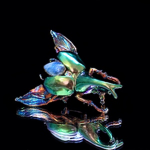 brooch beetle, insect jewellery, natural insect, insect pendant, Electroformed