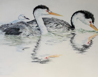 Grebe Family Giclée Print, Pastel Waterfowl Painting